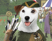 Load image into Gallery viewer, TV WISHBONE COMPLETE SERIES 8 DVD ISO SET 50 EPISODES + SPECIALS VERY RARE!!! 1995-97
