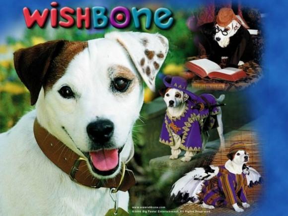 TV WISHBONE COMPLETE SERIES 8 DVD ISO SET 50 EPISODES + SPECIALS VERY RARE!!! 1995-97