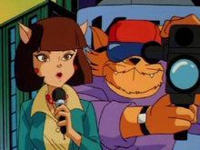 Load image into Gallery viewer, Swat Kats: The Radical Squadron Complete DVD ISO Set 1993-94
